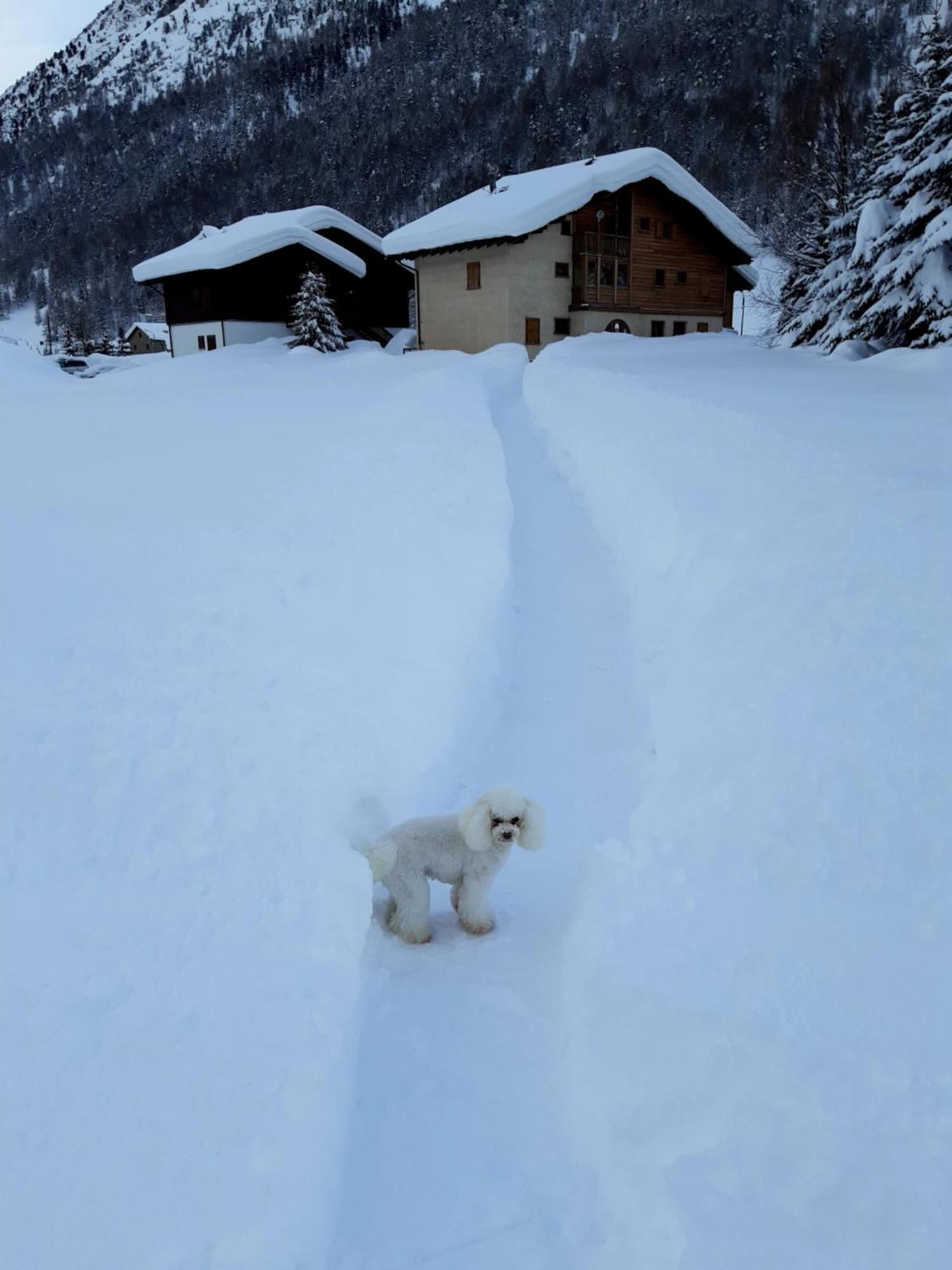 Dany * Livigno